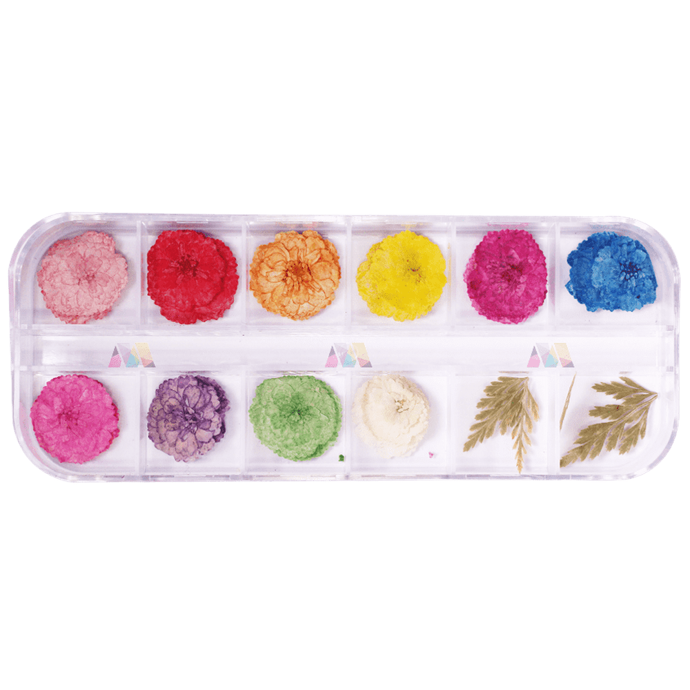 Dry Flower Pack 11 - Poppy - Maskscara