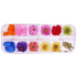 Dry Flower Pack 13 - Daisy - Maskscara