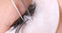 HOCL Optic Mist