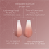 Full Cover Ombre Nail Tips - Coffin Nude 1N