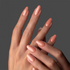 GP167 - Apricot Frieze