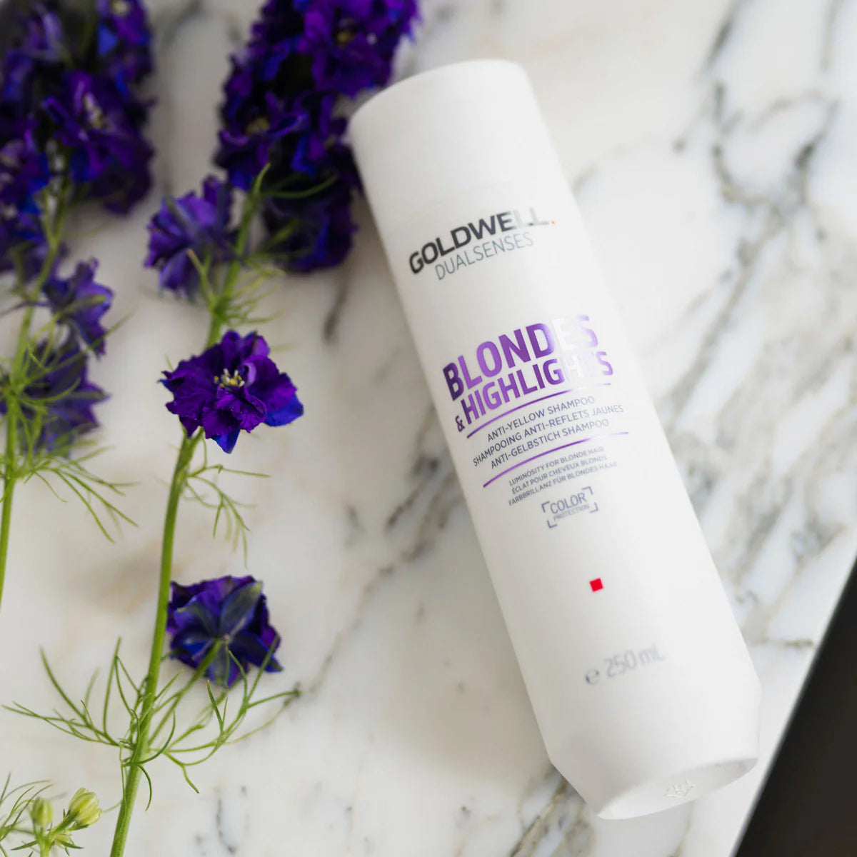 Goldwell Dualsenses Blondes & Highlights Anti-Yellow Shampoo