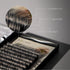 C-Curl Ellipse Lashes 0.20mm Black 11mm