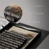 C-Curl Ellipse Lashes 0.20mm Black 12mm