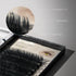D-Curl Ellipse Lashes 0.15 Black 10mm