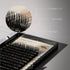 D-Curl Lashes 0.15 Black 09mm